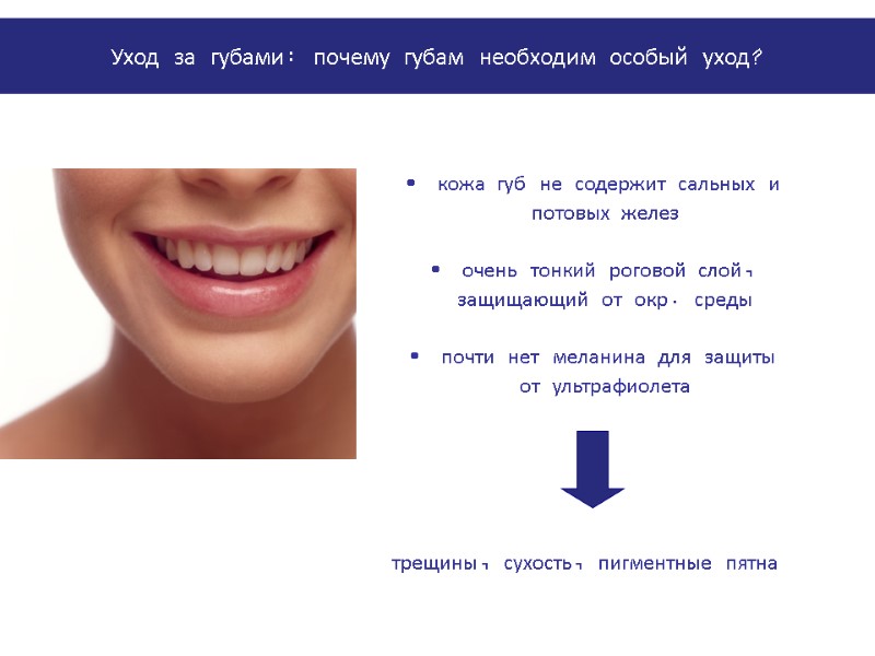 кожа губ не содержит сальных и   потовых желез  очень тонкий роговой